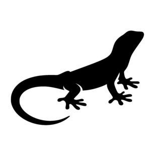 Curious Lizard Shape