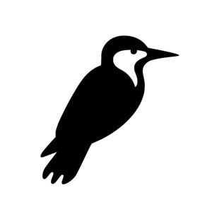 Silhouetted Crow Stand