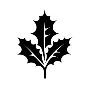 Spiky Leaf Design