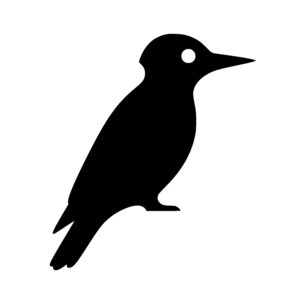 Elegant Woodpecker Shape