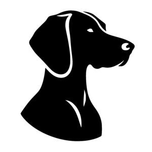 Graceful Dog Profile
