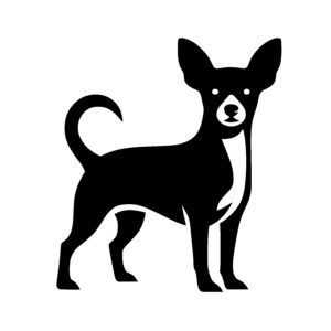 Confident Dog Stance