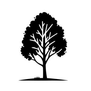 Thin Trunk Tree
