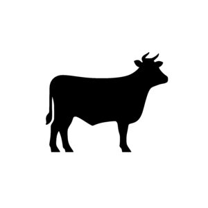 Curious Cow Profile