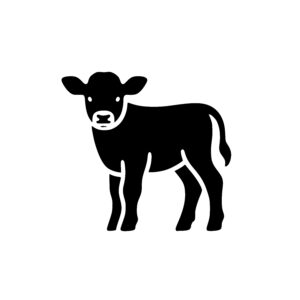 Curious Calf Stand