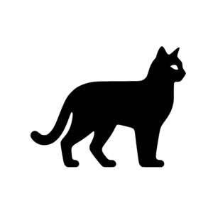 Agile Cat Stance