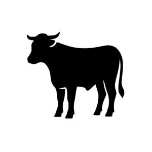 Curved Cow