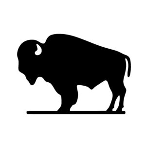 Majestic Bison Stance