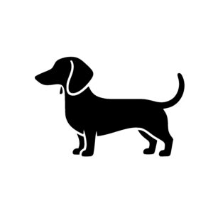 Dachshund Side View