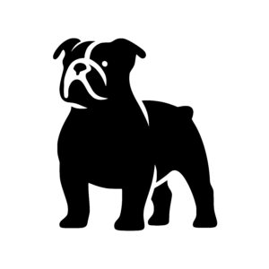 Sturdy Bulldog Stance