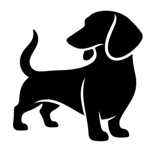 Dachshund Alert Stance