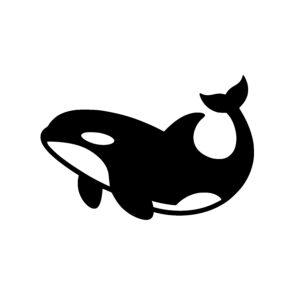 Curved Whale Journey