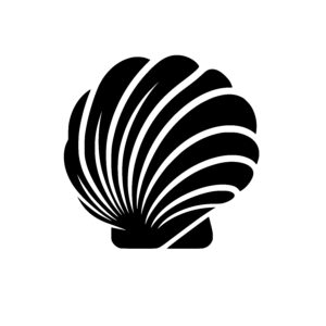 Radiant Scallop Shell