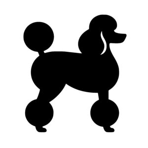 Elegant Poodle Stance