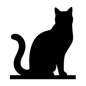 Curious Cat Posture