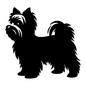 Curious Yorkie Stance