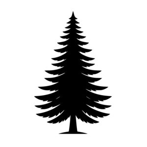 Elegant Pine Shape