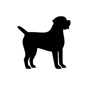 Attentive Dog Outline