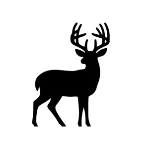 Alert Stag Profile