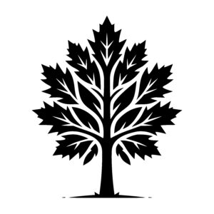 Strong Canopy Tree