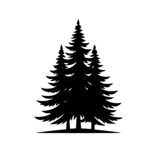 Trio of Pines