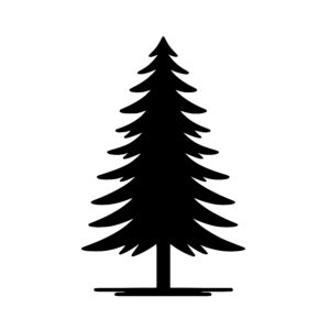 Classic Conifer Silhouette