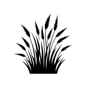 Wild Grain Cluster