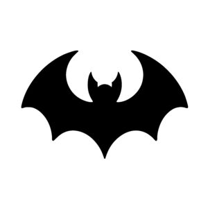 Bold Winged Bat