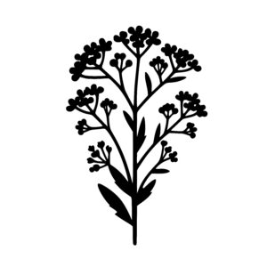Garden Blossom Silhouette