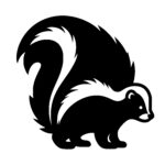 Curious Crouching Skunk