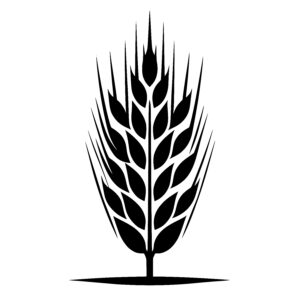 Wheat Growth Silhouette