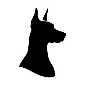 Majestic Great Dane Profile