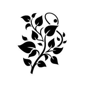 Vitality Leaf Growth