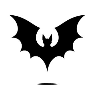 Wide-winged Bat