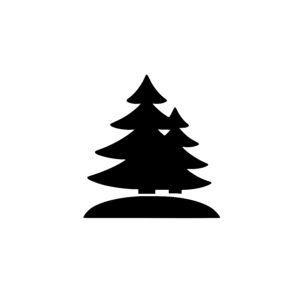 Majestic Pine Tree