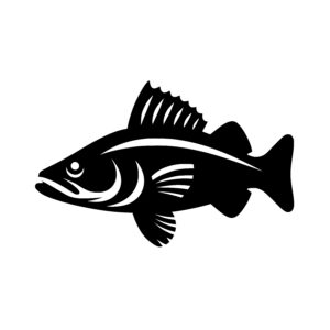 Streamlined Fish