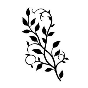 Tangled Vine Dance