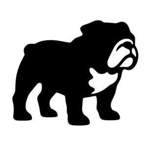 Confident Bulldog Stance