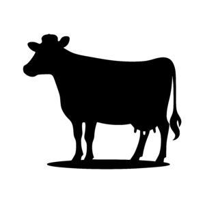 Sturdy Cow Stance