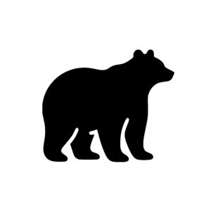 Strong Bear Stance