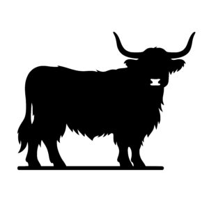 Majestic Highland Cow Stance