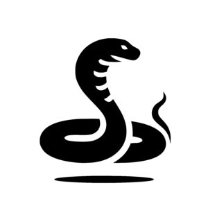Spiral Snake Shape