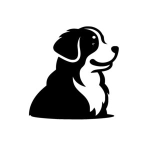 Cheerful Border Collie Profile