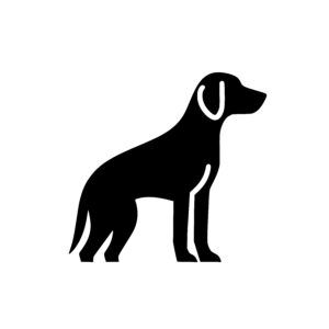 Proud Dog Stance