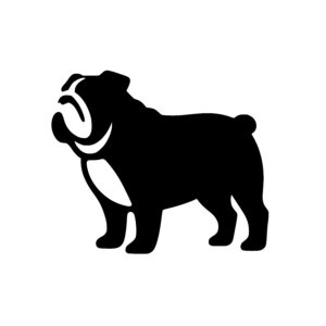 Bold Bulldog Profile