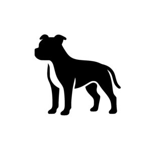 Proud Pit Bull Stance