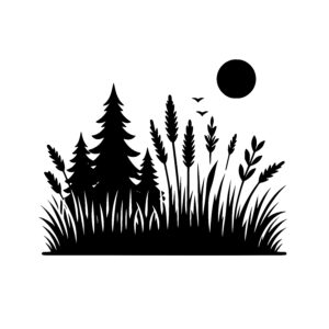 Sunny Woodland Scene