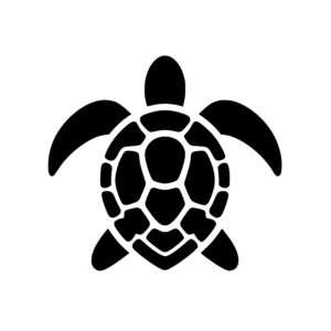 Geometric Turtle View