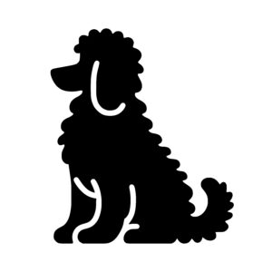 Fluffy Sitting Pup