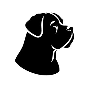 Calm Dog Profile